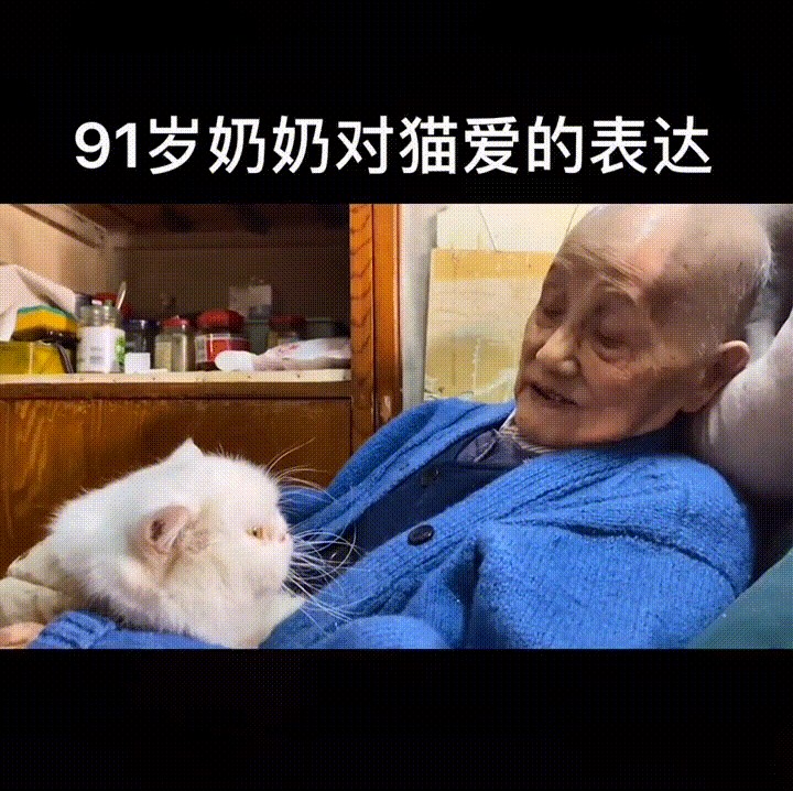 91岁的奶奶告别了8岁的猫咪：以后我不在了，你要乖乖的...