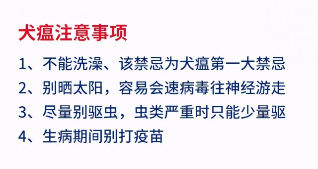 如何区分狗狗细小、犬瘟、感冒？这几个症状特征，一看便知