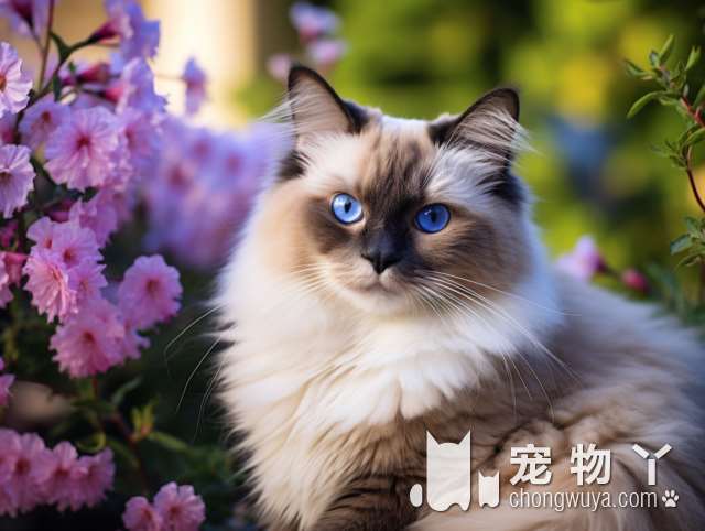 苏州嘻多多宠物生活馆，宠物用品齐全，猫猫亲人黏糊人吗?